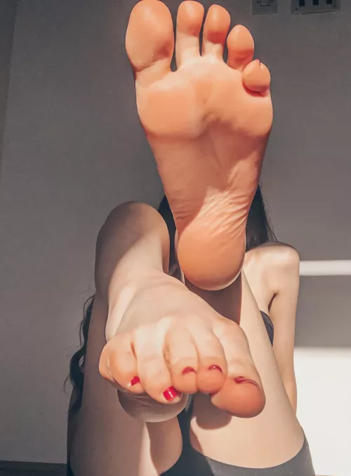 How lovely would they look on your face