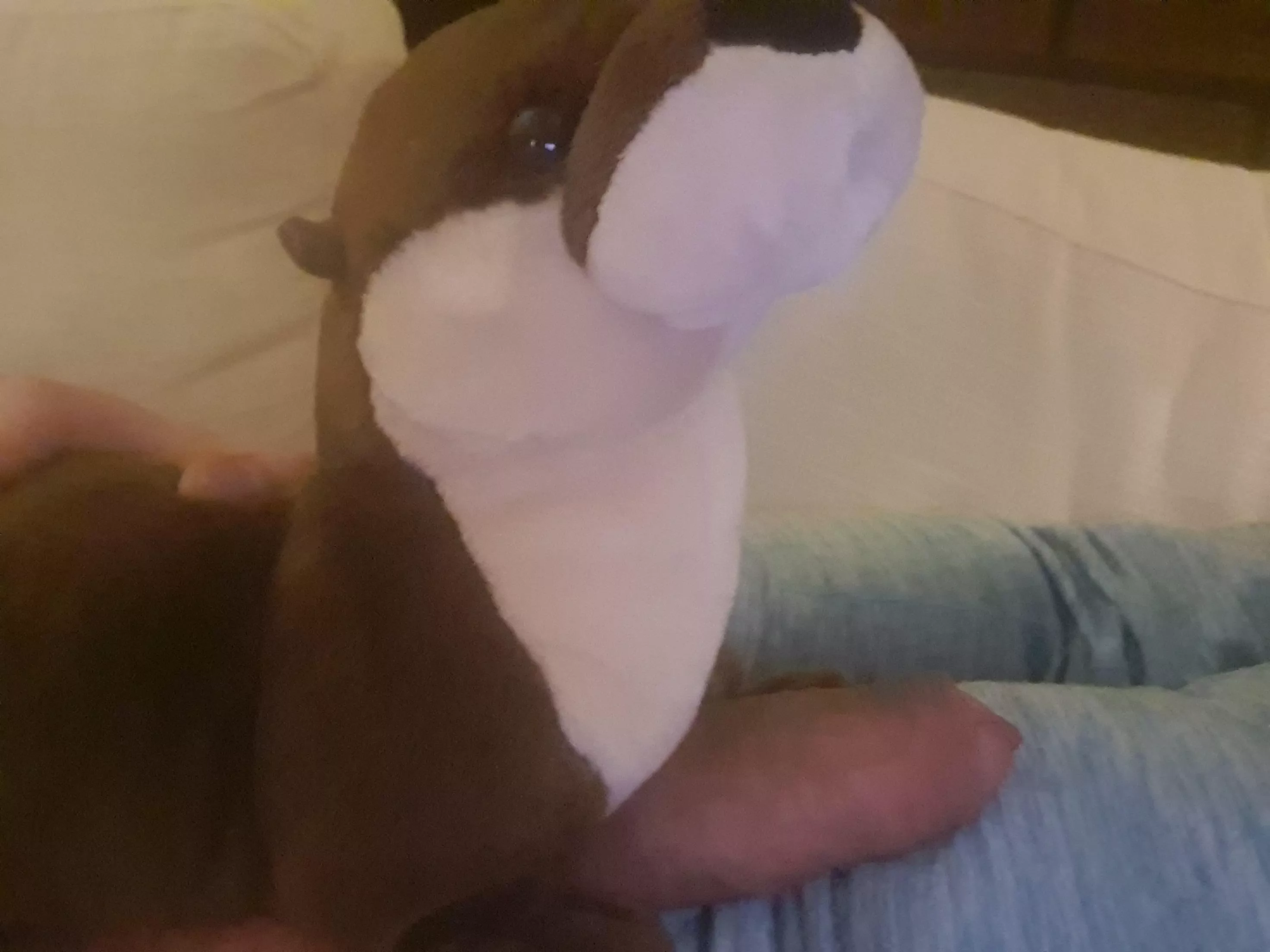 I do care what otters think