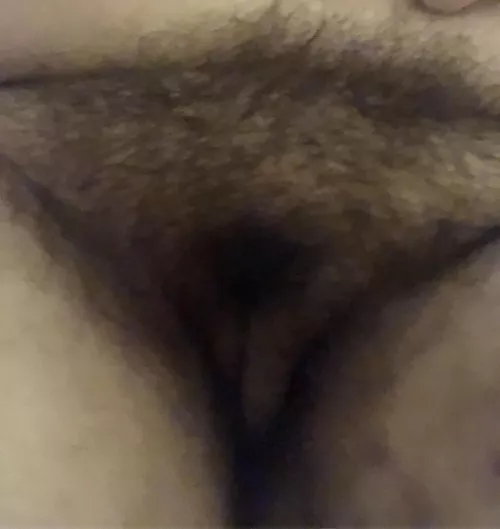 I havnt shaved in 2 years plus all over my body an I love showing off if anyone wants to witness that hehe