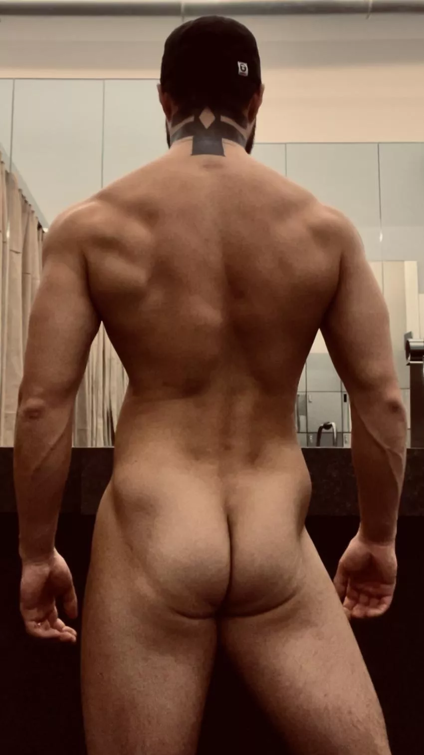 I squat, deadlift, pullup and dip