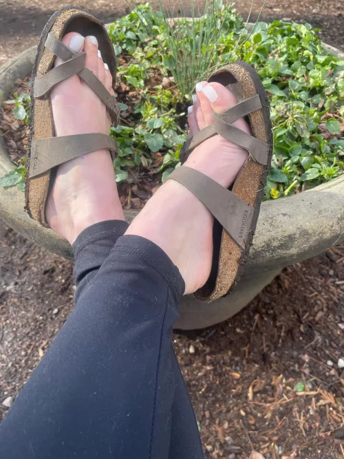 I think my feet are so cute in Birks, I love the looks I get in warmer weather