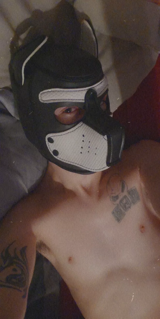 It's another Monday. Hope everyone has a puptastic week!!!!