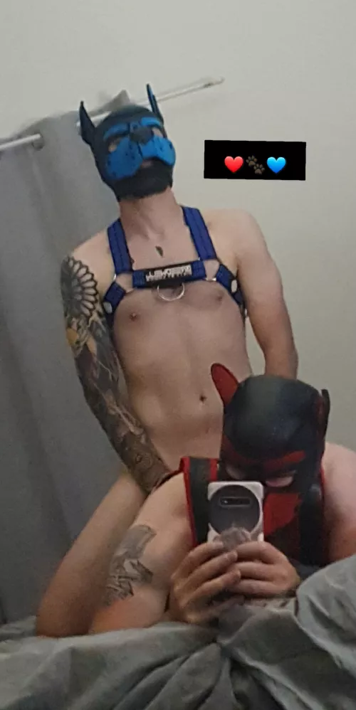 Just a couple of good boys