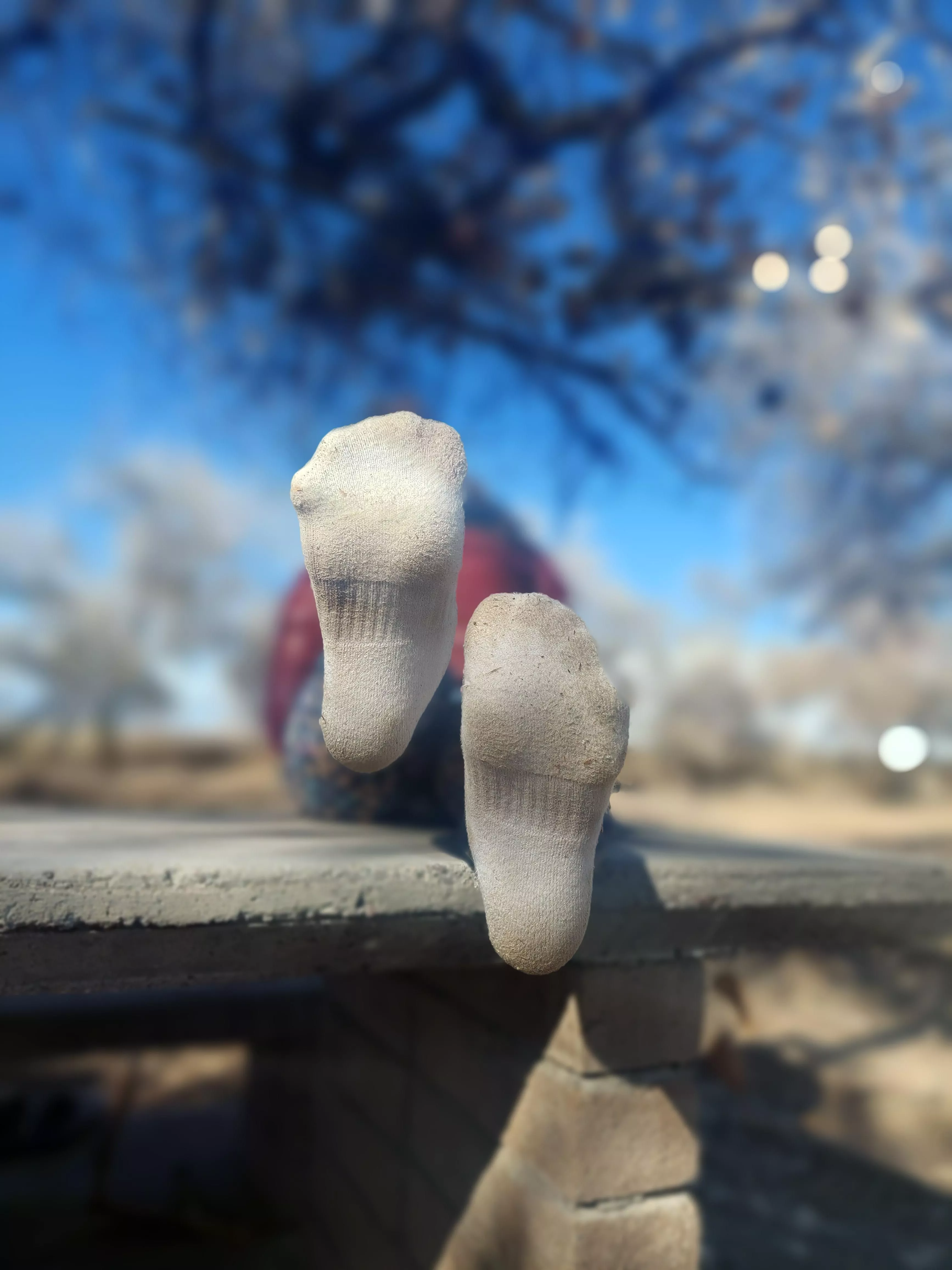 just one day in some fresh crew socks..