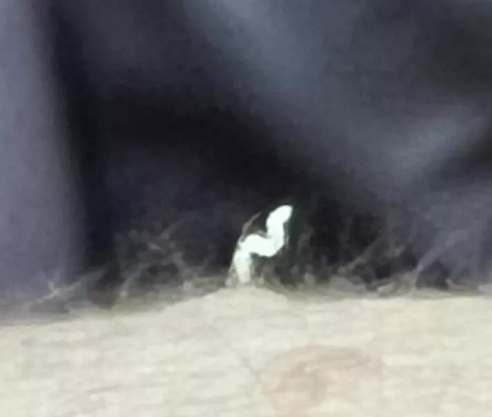 Look at this beauty - so proud and tall