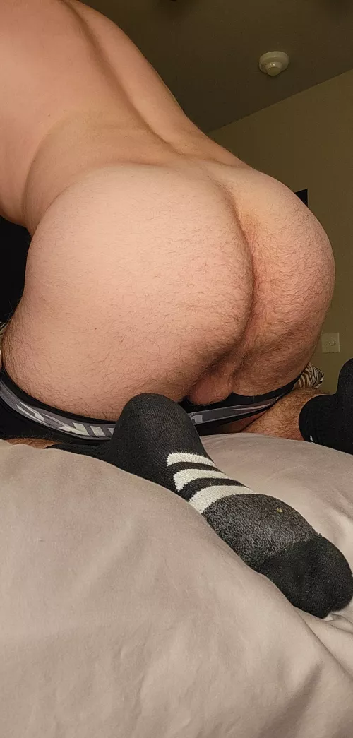 Looking for some companionship