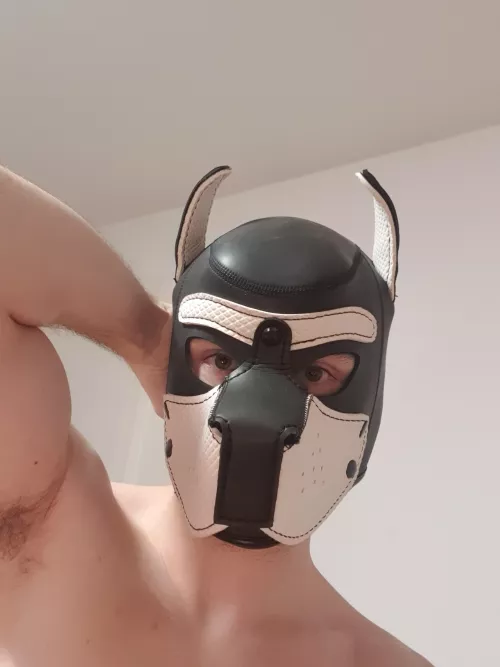 Musky puppy gets in mood to play🙈🔥💦🐾😛