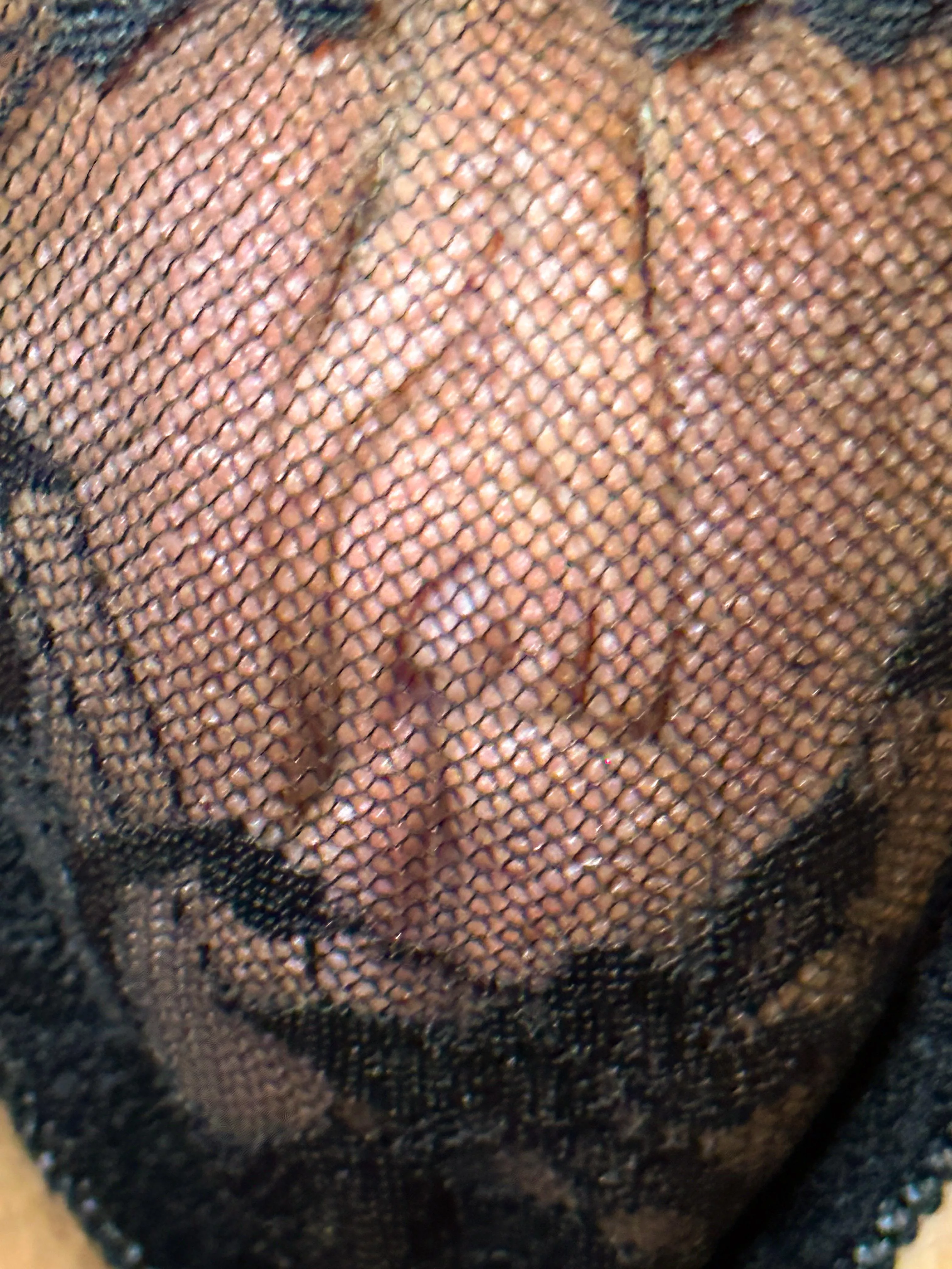 My insatiable flower