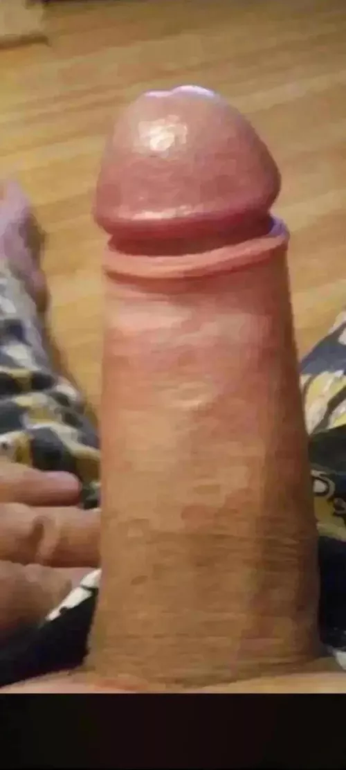 Olderguy 51 doncaster looking for fun