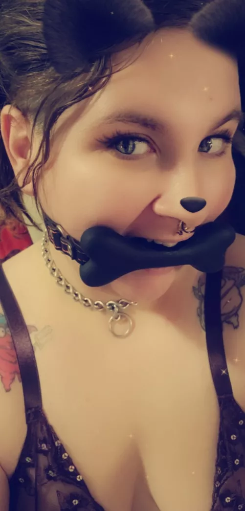 Pets for the pet? [F]