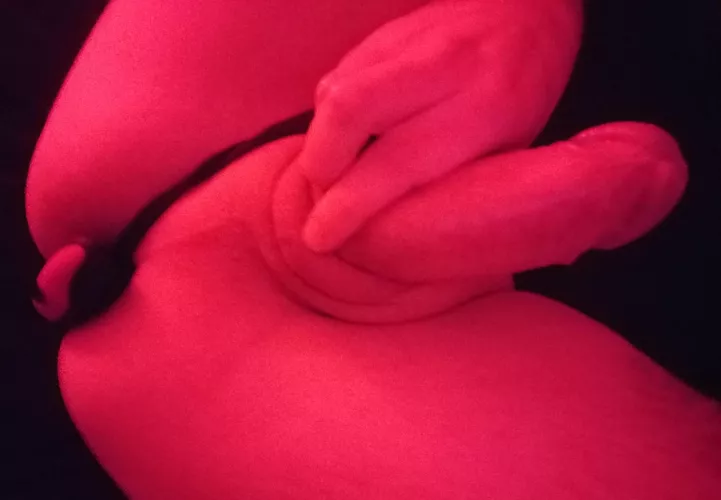 Use me how u see fit