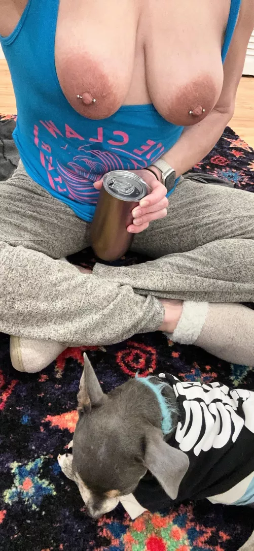 Vodka shots first, seltzer to smooth, puppy for fun