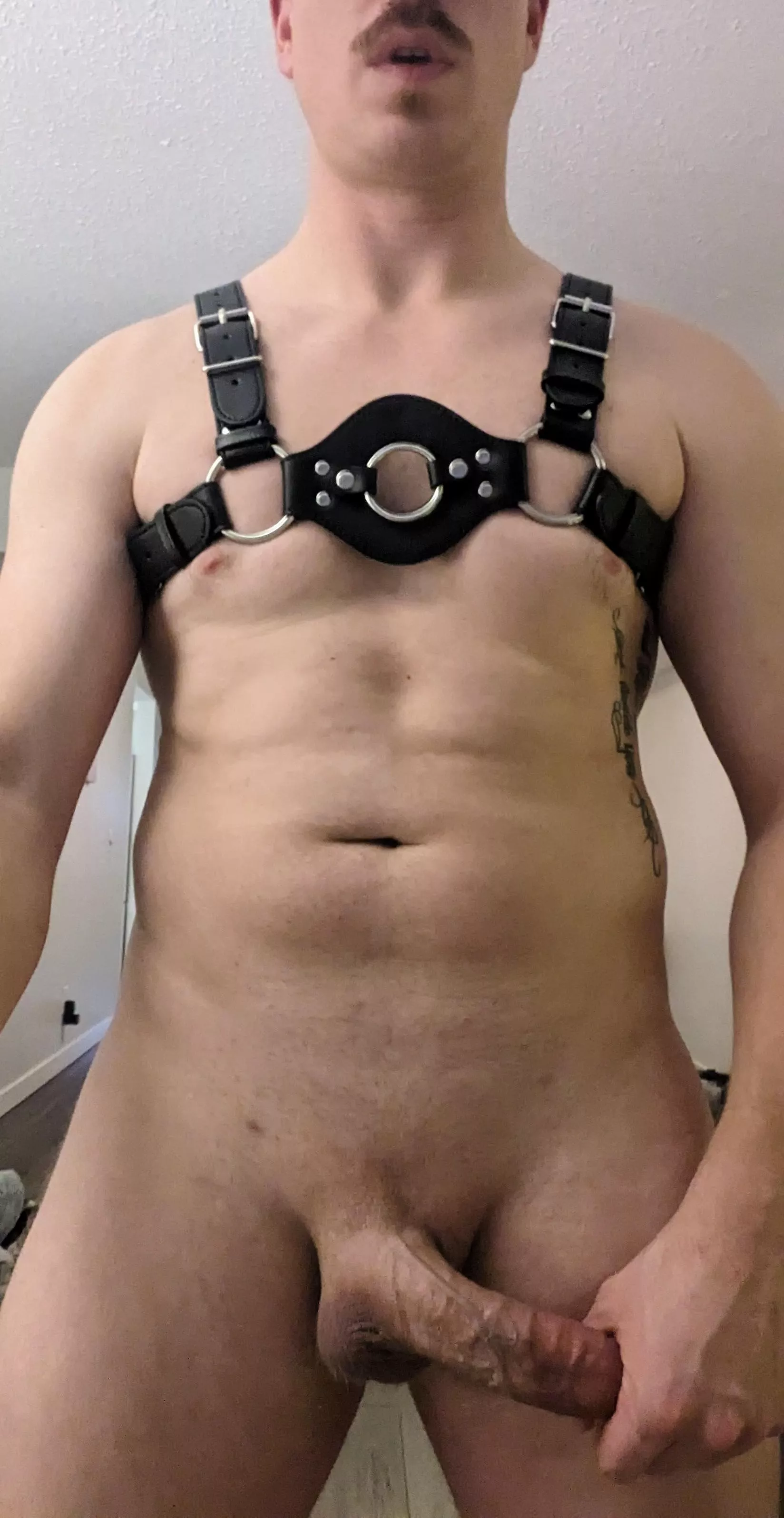 Which vein is your favorite? (OC)