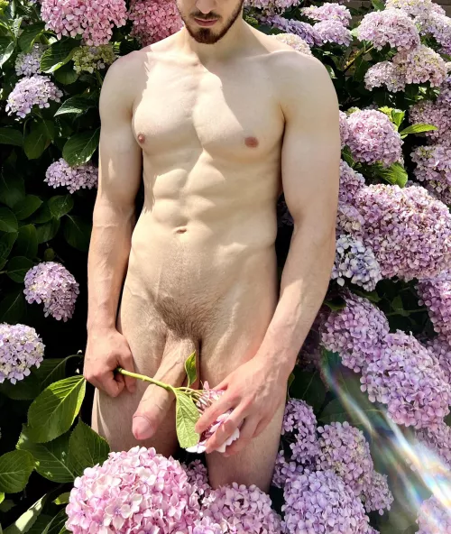 (25) The most romantic way to receive a flower