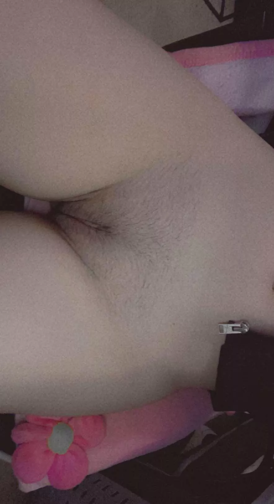 Alll fuzzzzyyy ready to grow my bush