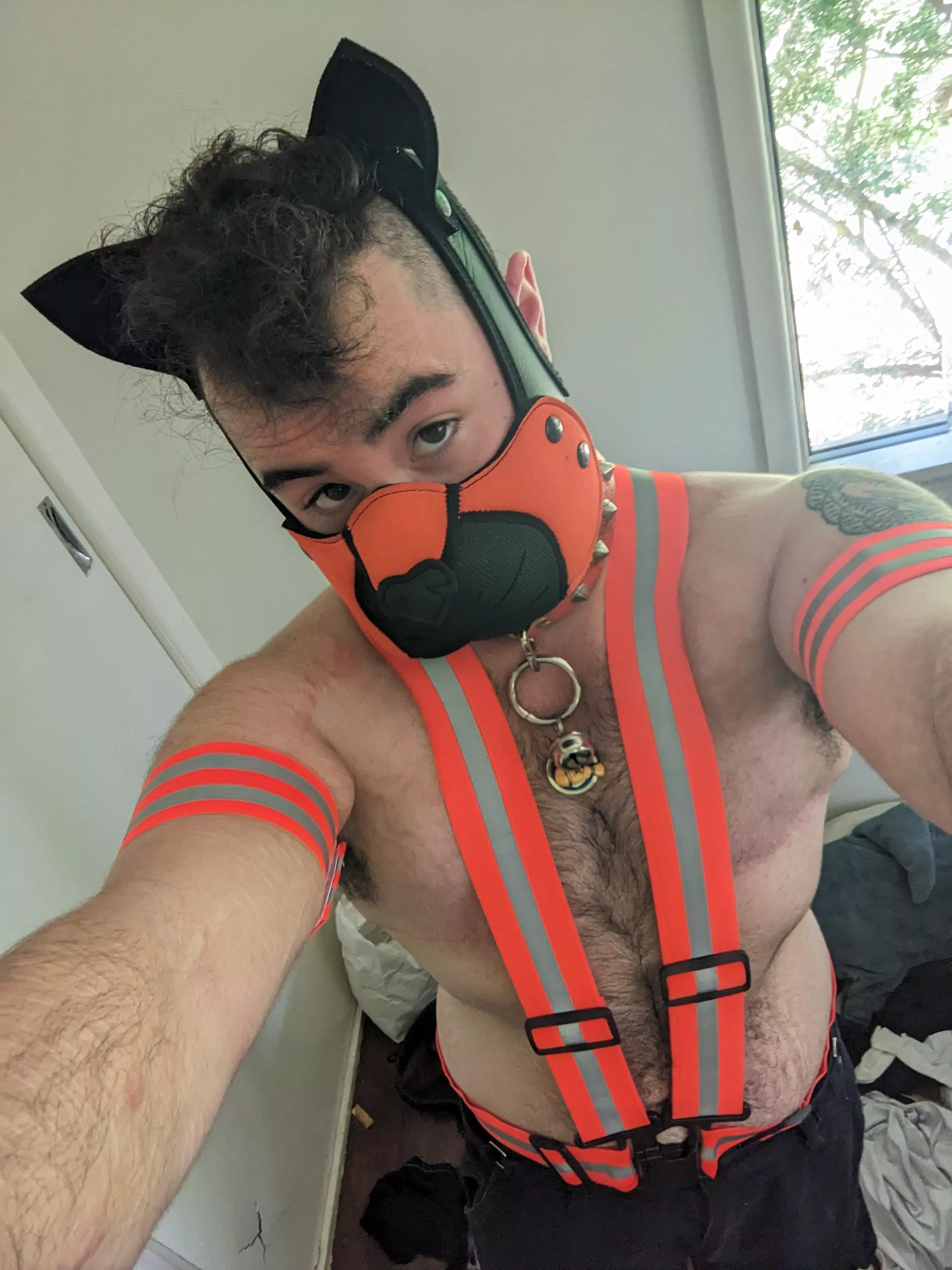 Anyone know where to find a good hi-vis harness? ^^