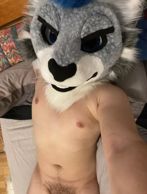 ask nicely if you’d like to see any lower :)