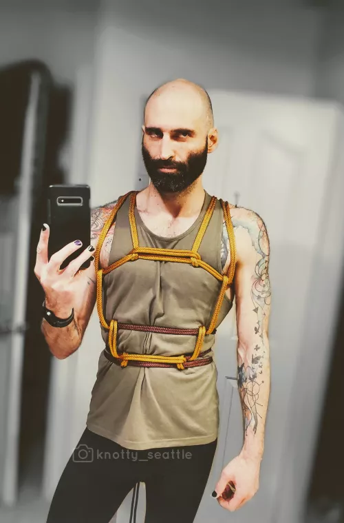 Barre harness for self-tie Tuesday