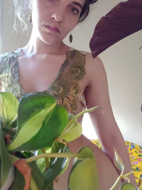 Beautiful Leaves 🍃