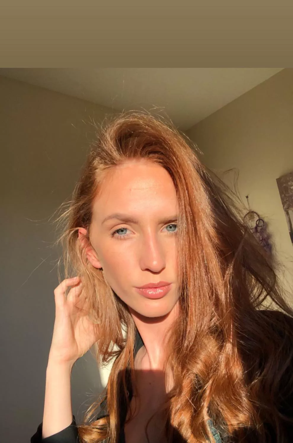 Caught a bit of morning sun