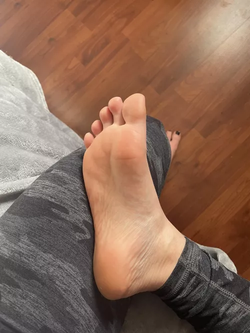 Come oil these soles and toes up😆