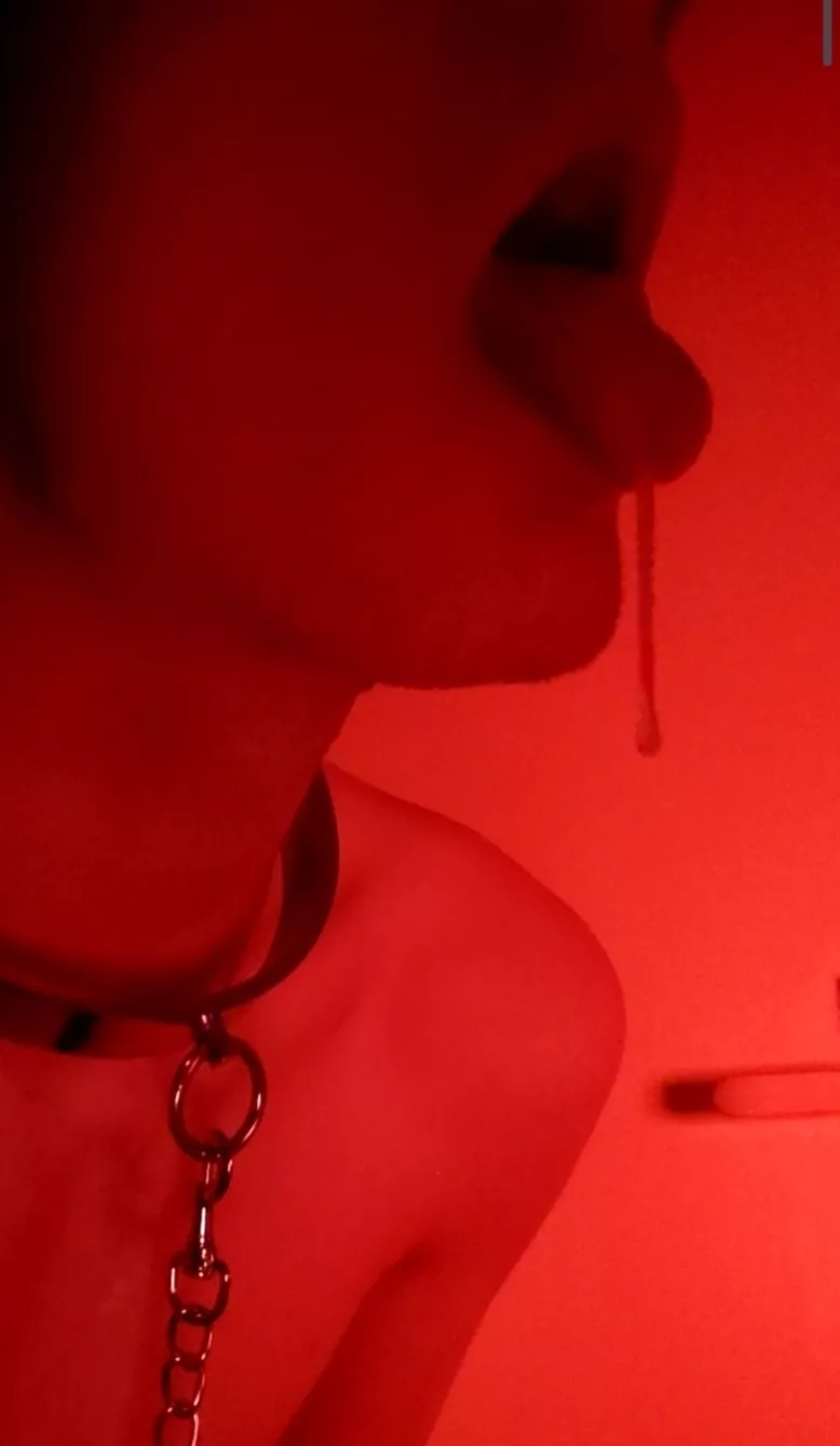 Do I look submissive enough?