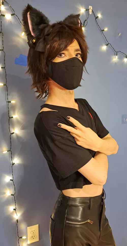 Don't mind the ears :3