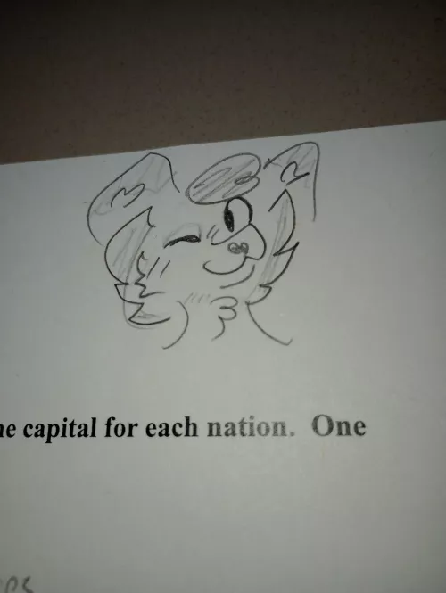 Doodle on my History homework