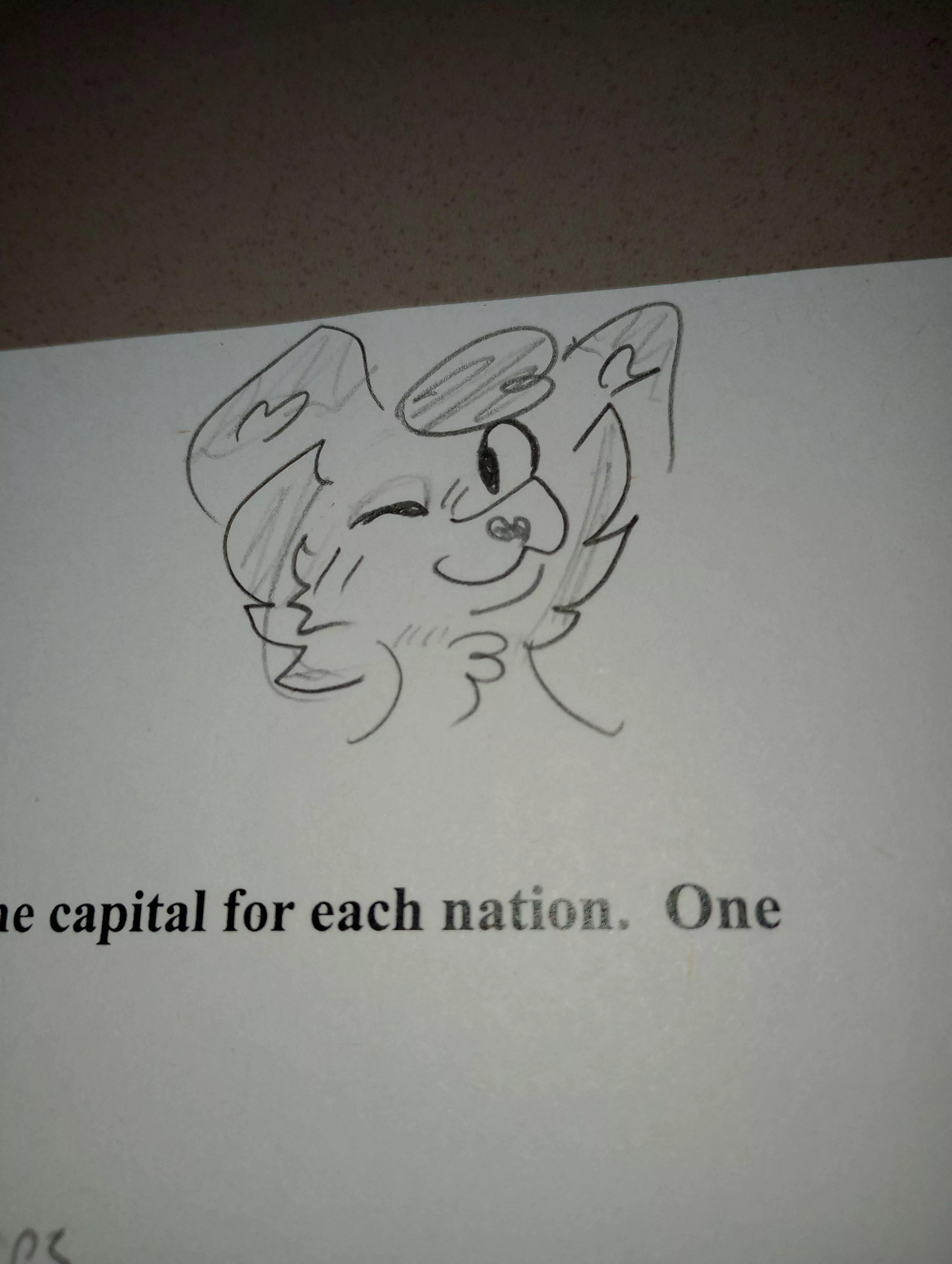 Doodle on my History homework