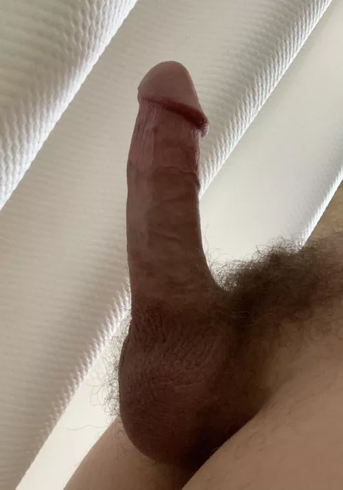 Feel like showing this off for some reason. Let me know how it is.