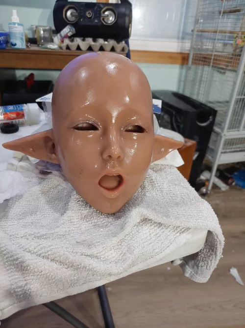 Feels like doing house elf taxidermy. cleaning Tibby's elf head