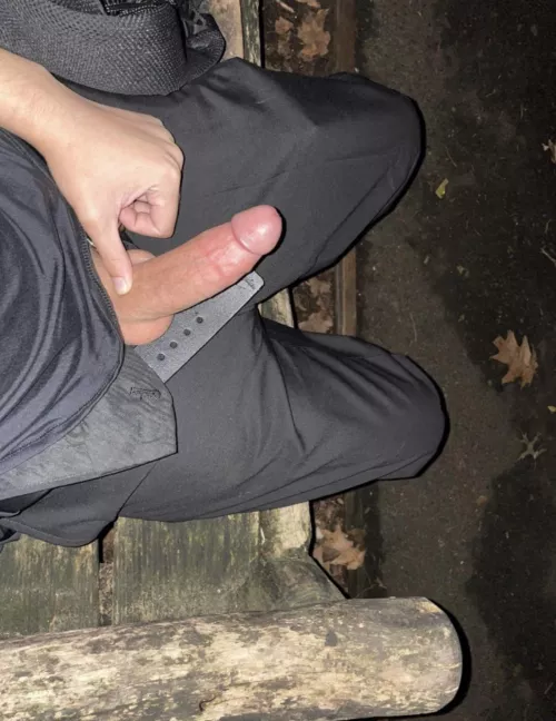 find my cock out stroking at the park in New York City and suck it. Hit me up !!