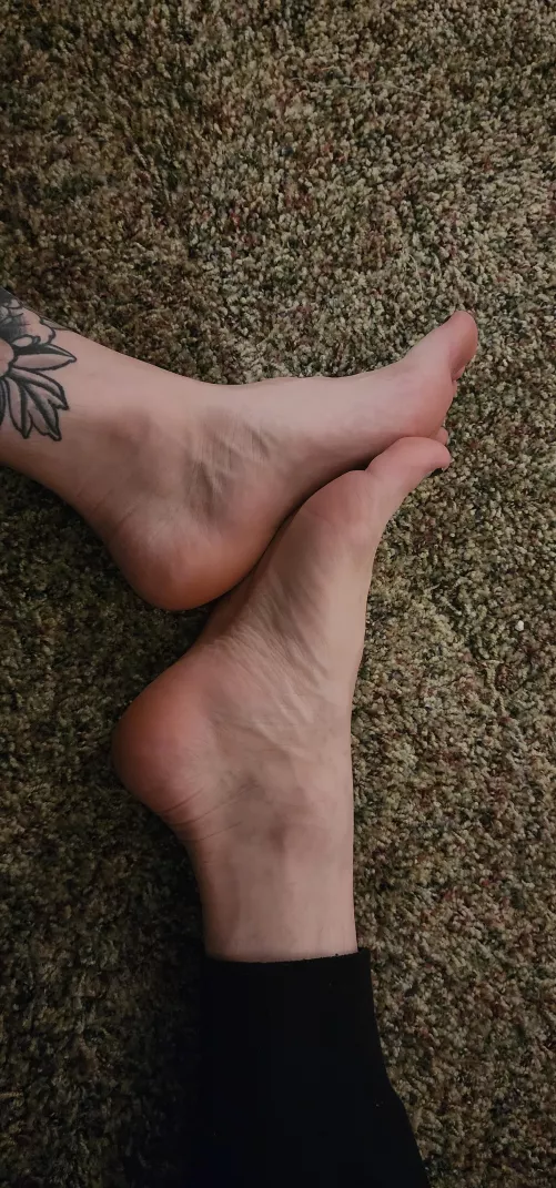 First time posting, please be kind 🥺