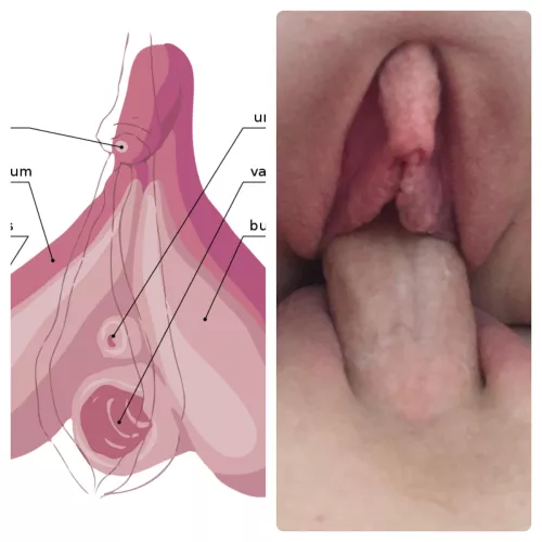 For comparison purposes (f33)
