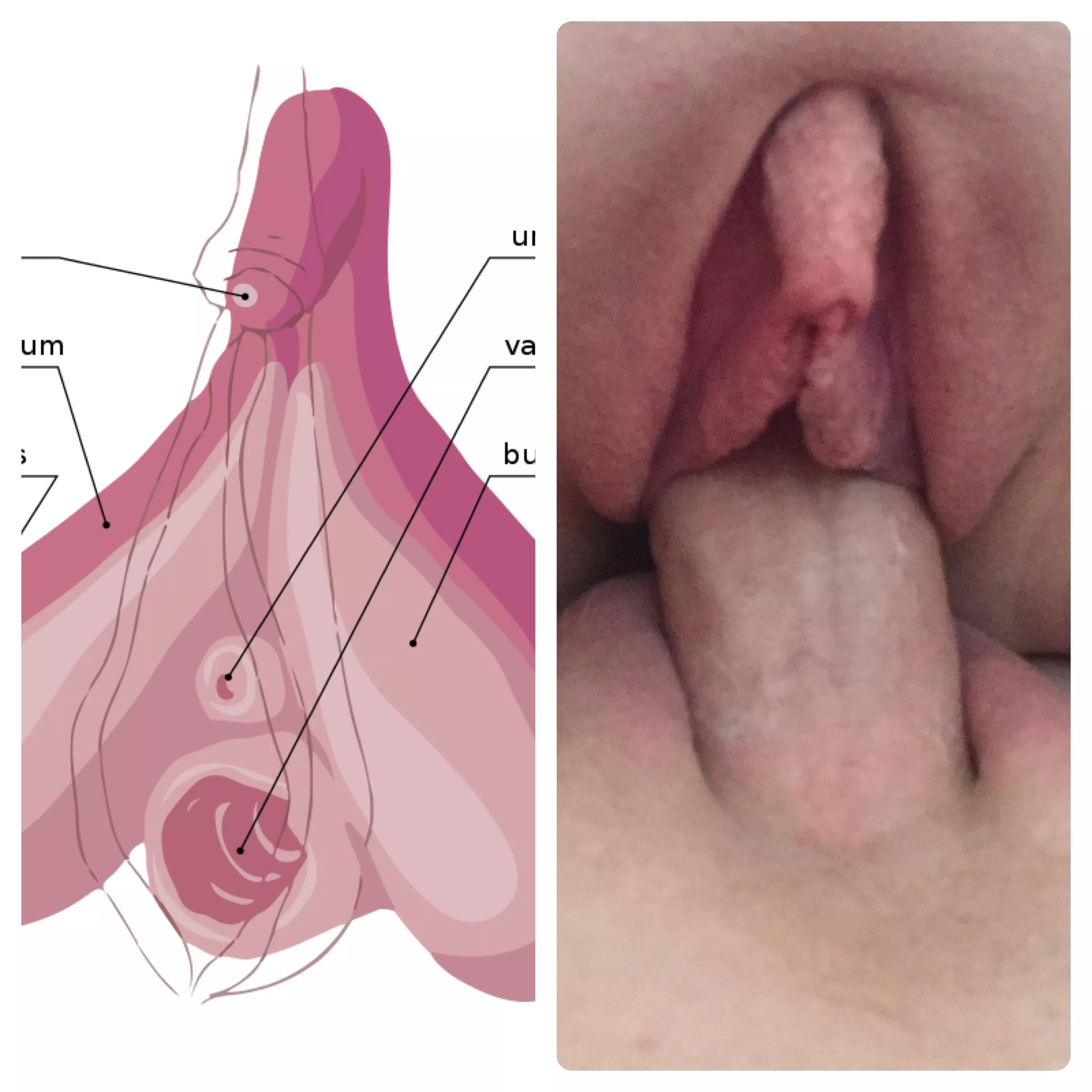 For comparison purposes (f33)