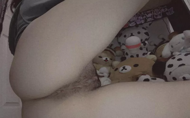 Goodnight from my cute hairy pussy