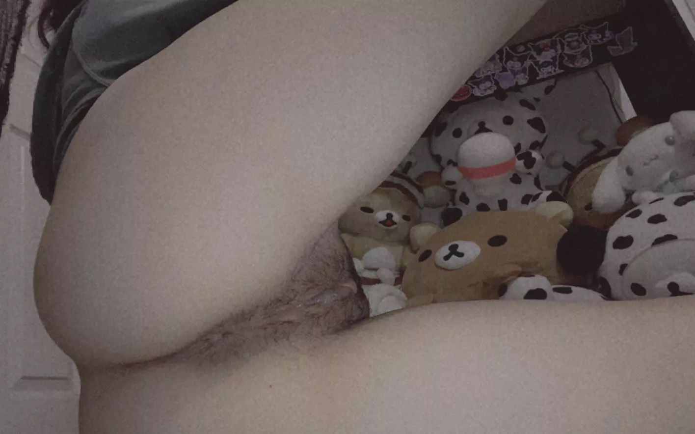 Goodnight from my cute hairy pussy