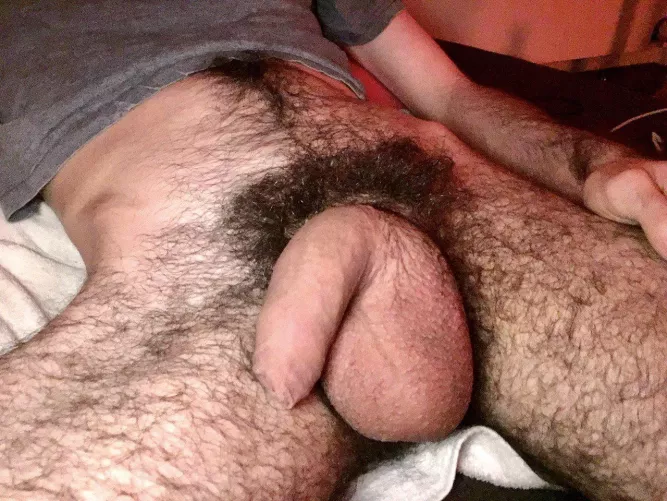 Hairy softie anyone?