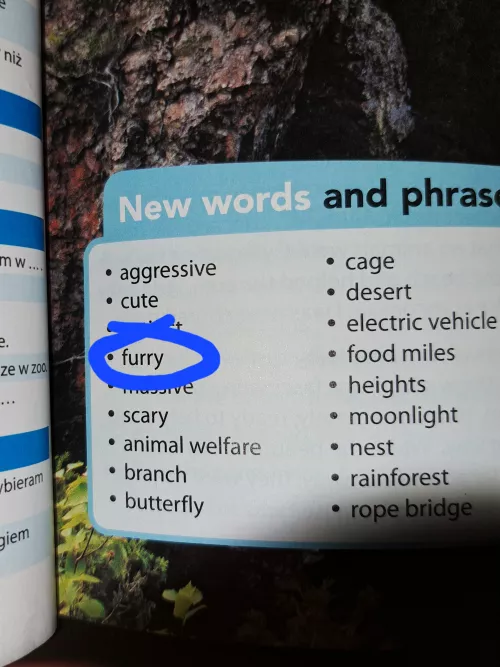 Hey guys, guess what I found in my English book