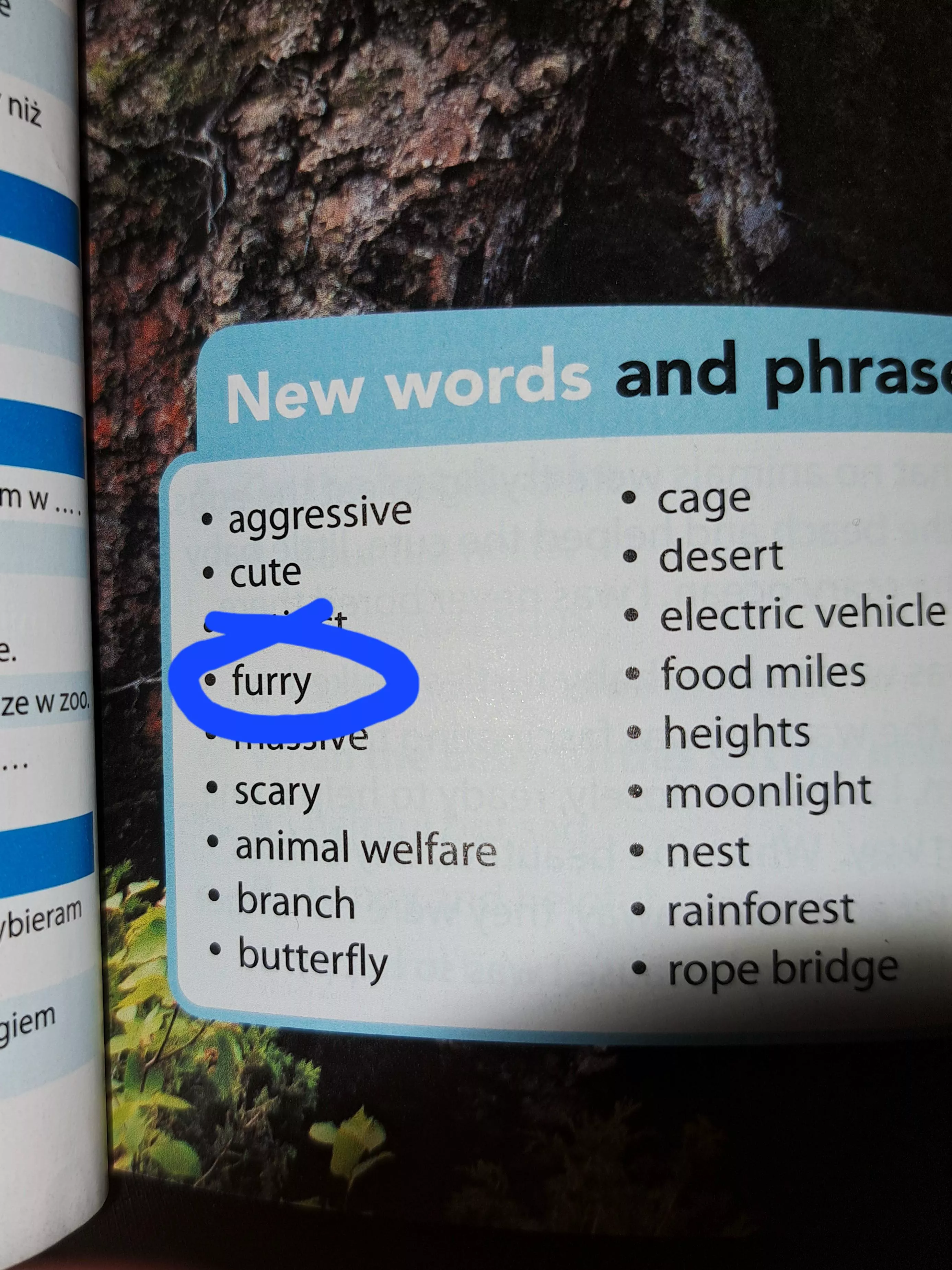 Hey guys, guess what I found in my English book
