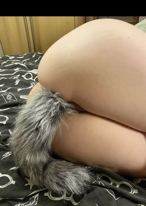 hey I'm new here, what do you think of my plug?☺️