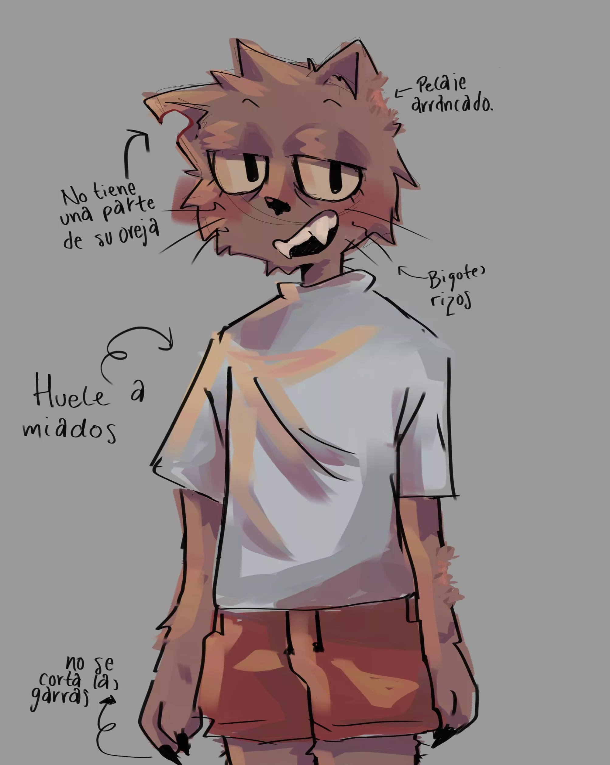 Hi, this is a furrsona❤️