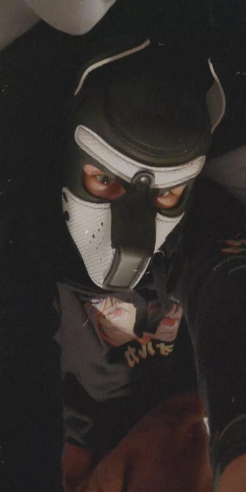 It's a chilly day out there today. Any pups wanna cuddle to stay warm???