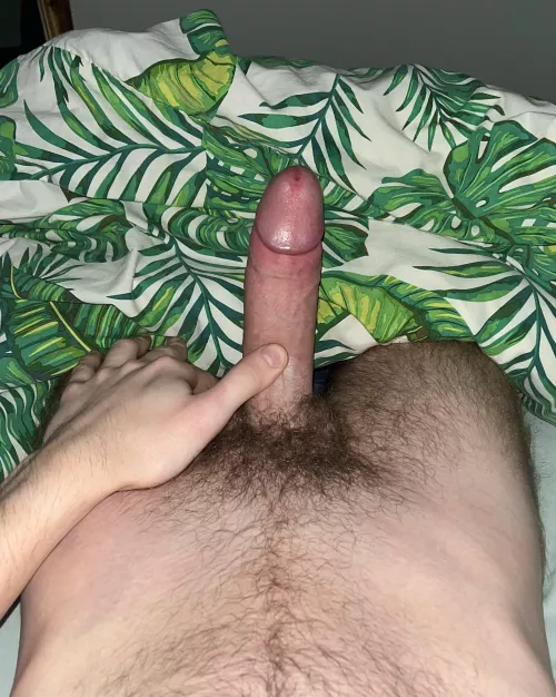 Just a little distraction