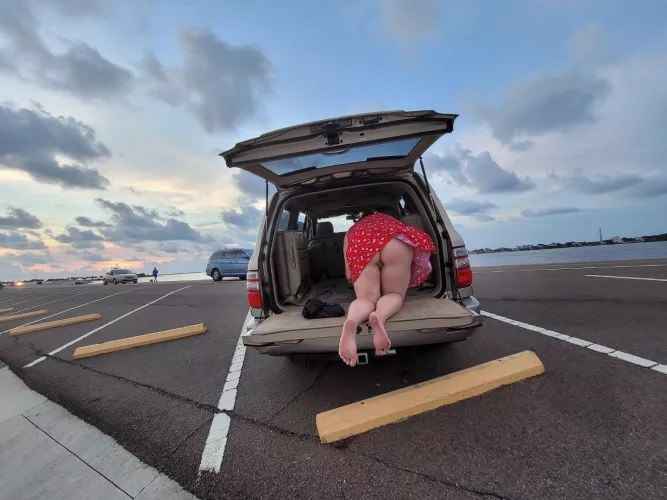 Just trying to get some attention at the beach 🏝️
