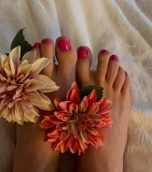 Kiss each toe when you greet me