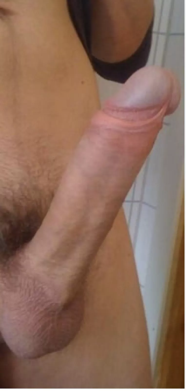 My big hard dick for you, DM
