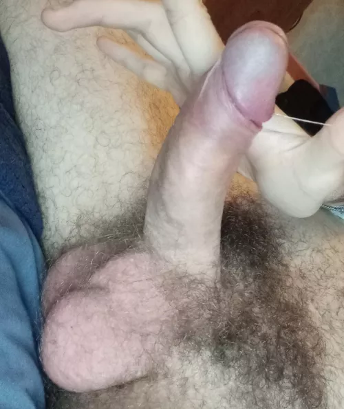 My penis