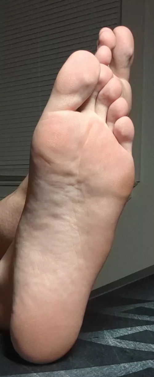 My Size 13 Soles