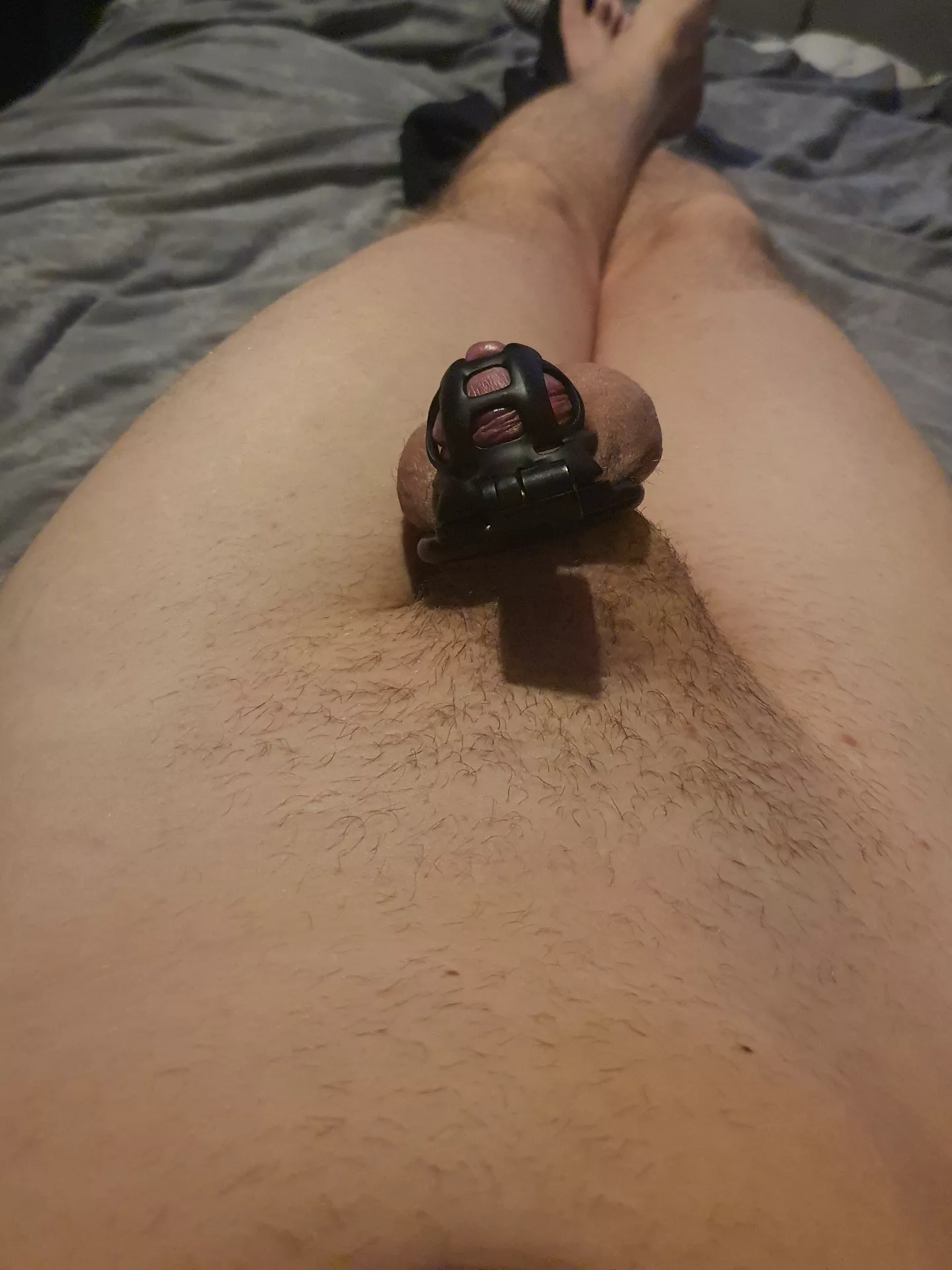 New cage today! This one fits so much better 😊